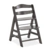 Hauck Alpha+ Select Highchair - Charcoal 1 Hauck Alpha+ Select Highchair - Charcoal -Baby Products Store hauck highchairs hauck alpha select highchair charcoal 4007923661307 28491954880648