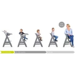 Hauck Alpha+ Wooden Highchair - Grey -Baby Products Store hauck highchairs hauck alpha wooden highchair grey 4007923661178 17555776635016